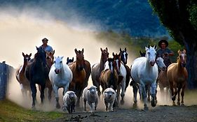 Estancia Nibepo Aike